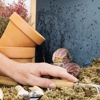 Lakes Pest Control Services gallery