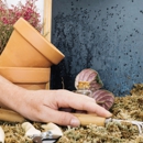 Lakes Pest Control Services - Pest Control Equipment & Supplies