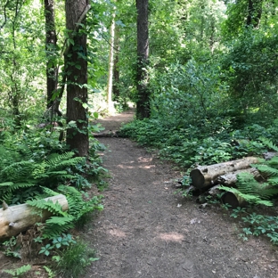 Cutler Park - Needham, MA