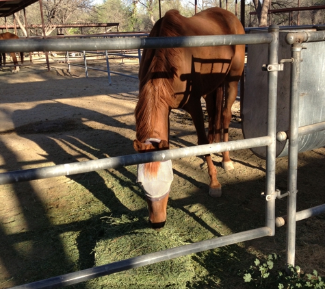 Mesquite Oasis Ranch - Tucson, AZ