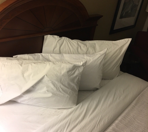 Hilton Garden Inn Indianapolis Northeast/Fishers - Fishers, IN