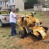 M & J Stump Grinding gallery