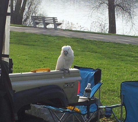 Isle View Park Office - Tonawanda, NY