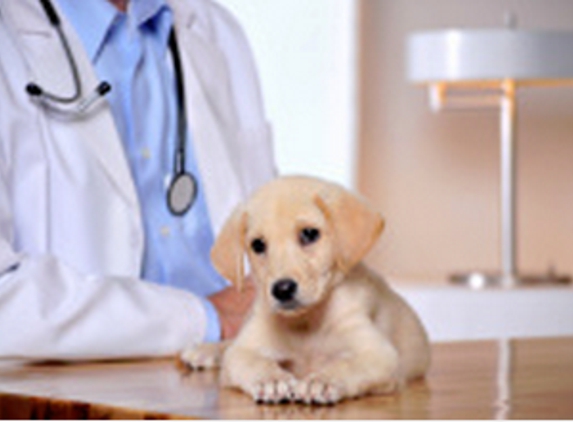 Flushing Veterinary Hospital - Flushing, NY