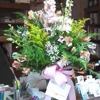 A Gainesville Florist gallery