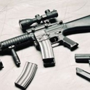 Sentinel Firearms - Guns & Gunsmiths