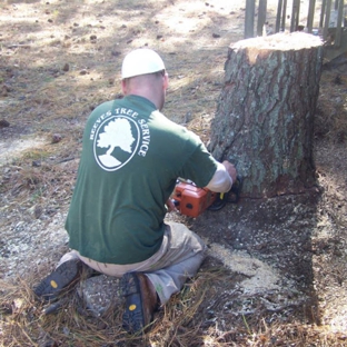 Reeves Tree Service - Bremen, GA