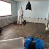 Evolution Restoration & Renovation gallery