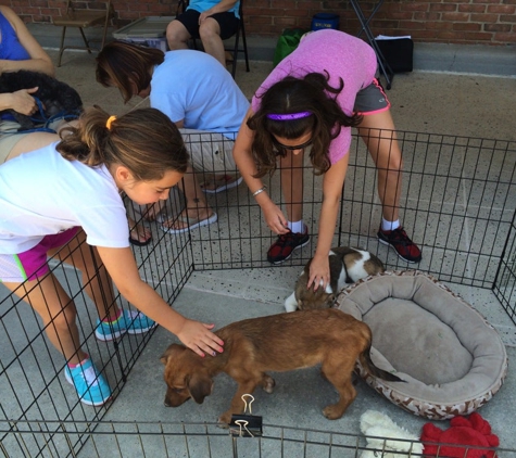 PetSmart - Tucker, GA