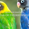 Peak Exotic Animal Veterinary Specialists gallery