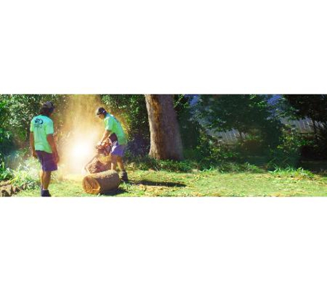Total Tree Services - Mount Rascal, QLD
