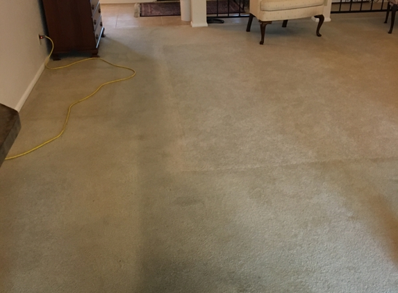 Silver Lining Carpet Care - San Antonio, TX