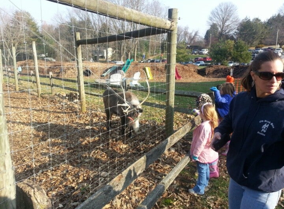 Schmidt's Tree Farm - Landenberg, PA