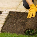 Green Thumb Landscaping Inc - Lawn & Garden Equipment & Supplies