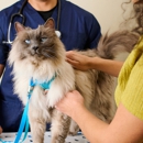 Unleashed by Petco - Pet Services