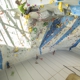 Momentum Indoor Climbing Millcreek