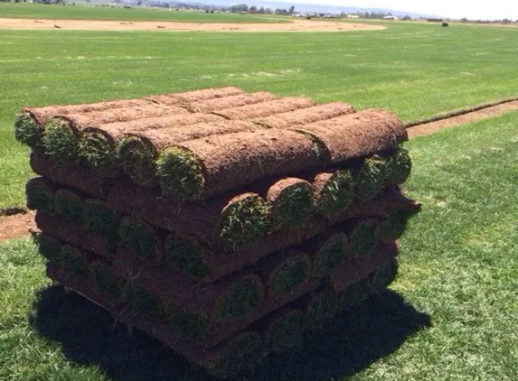 Sod King - Salt Lake City, UT