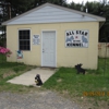 All-Star-Kennels gallery