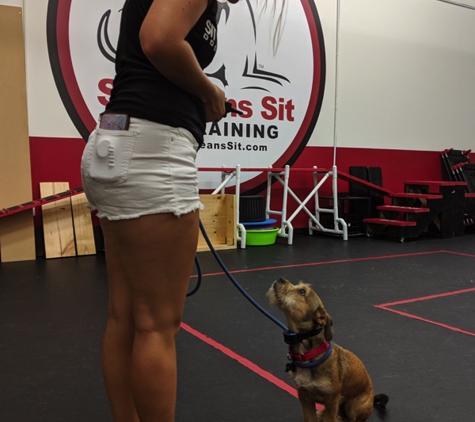 Sit Means Sit Dog Training - Apex, NC