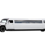 Newton Limos