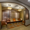 Williams Orthodontics gallery