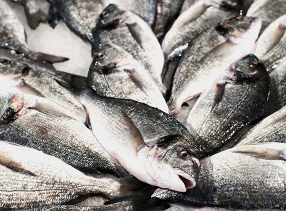 Urangan Fisheries - Callemondah, QLD