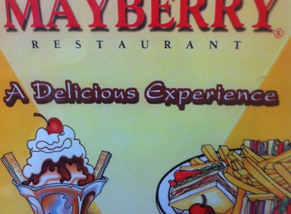 Mayberry Ice Cream Restaurants - High Point, NC