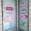 Celebrity Paw Spa - Adult Education