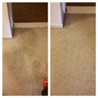 Citrusolution Carpet Cleaning