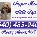 Sugar Baby Shih Tzu's at Loli-Pop farm - Pet Breeders