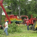 Larrys Stump Grinding and Tree Service - Stump Removal & Grinding