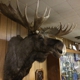 Moose Lodge