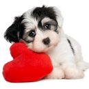 The Puppy Store Las Vegas - Pet Breeders