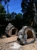 Anita B. Gorman Conservation Discovery Center - Educational Materials