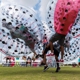 Knockerball Bloomington