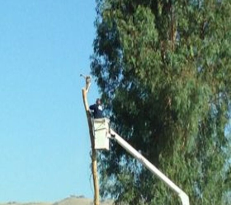 Adolph's A-1 Tree Service A Partnership - Fresno, CA