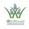 Wildflower Orthodontics gallery