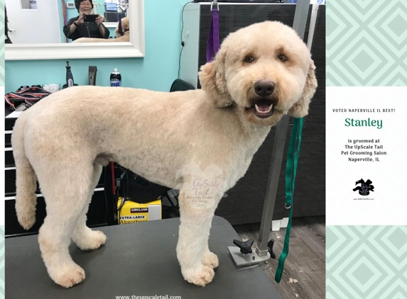 The Upscale Tail Pet Grooming Salon - Naperville, IL. Doodle Grooming