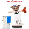 Able Rooter St.Louis Sewer & Drain Cleaning gallery
