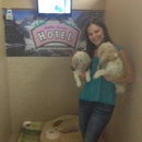 Amber's Luxury Pet Hotel - Pet Services