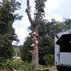 Action Tree Service