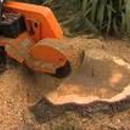 Emerald Stump Remvl-Brush - Stump Removal & Grinding