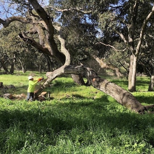 Urban Lumberjacks - Salinas, CA