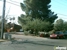Arcadia Montessori - Preschools & Kindergarten