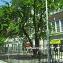 Public School 75 - Elementary Schools