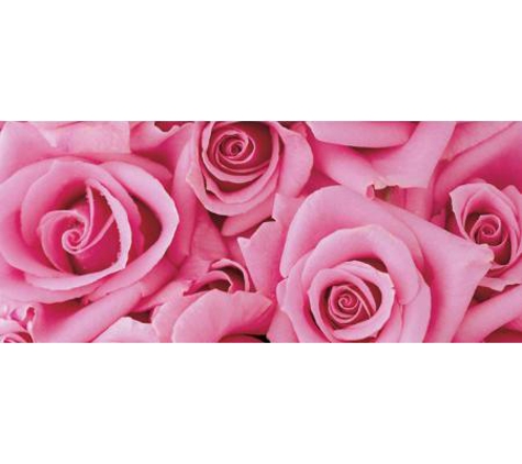 Australian Direct Cremations & Funeral Services - Newcastle, NSW