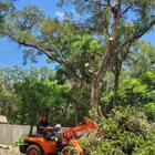 Tree Care America