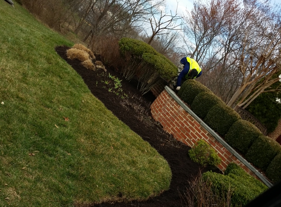 R & R TREE AND LANDSCAPING - Unionville, VA