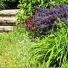 Hunt's Lawn Maintenance & Landscaping gallery