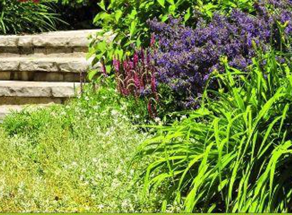 Hunt's Lawn Maintenance & Landscaping - High Point, NC